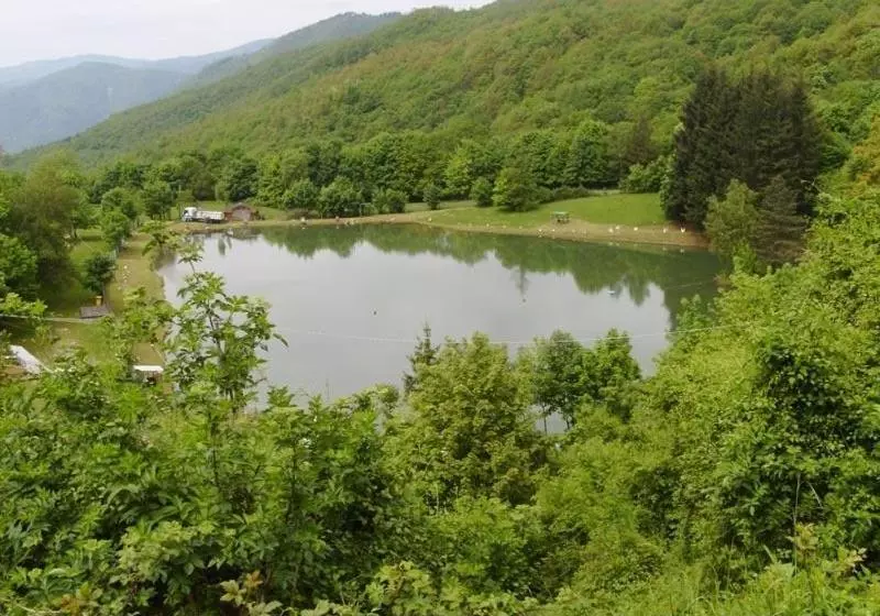 Отель Albergo Ristorante Guidi