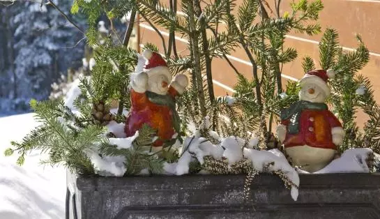 Bauernhof Drei Finken