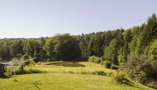 Bauernhof Drei Finken