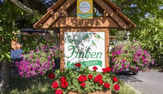 Bauernhof Drei Finken