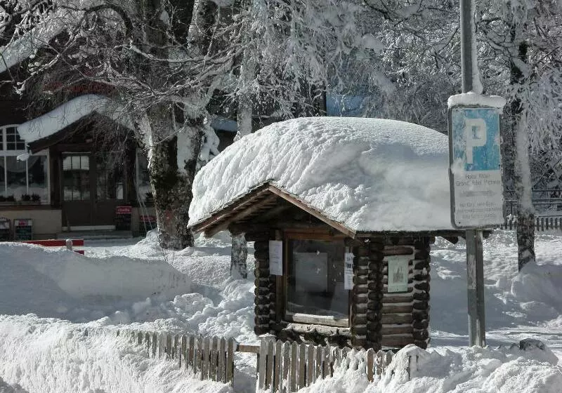 Belle Epoque Hotel Victoria & Apartments