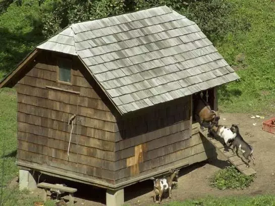 Отель Bruckwirt