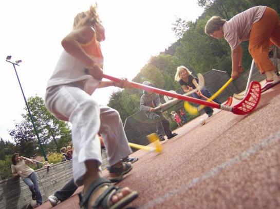 Отель Bruckwirt