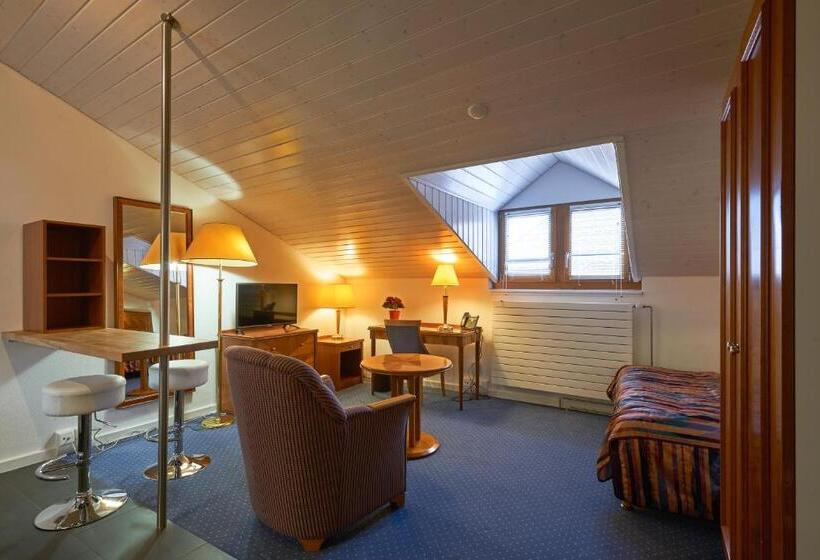 Отель Hine Adon Fribourg