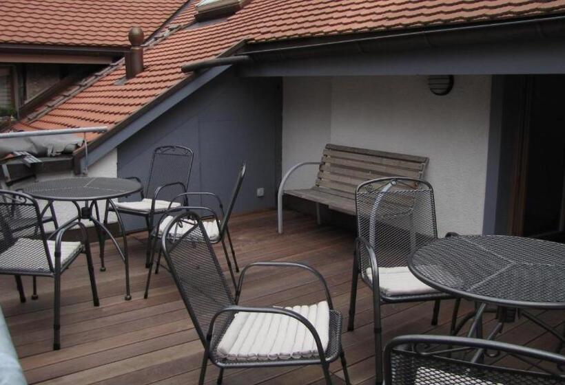 Отель Hine Adon Fribourg