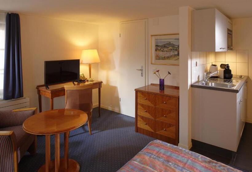 Отель Hine Adon Fribourg