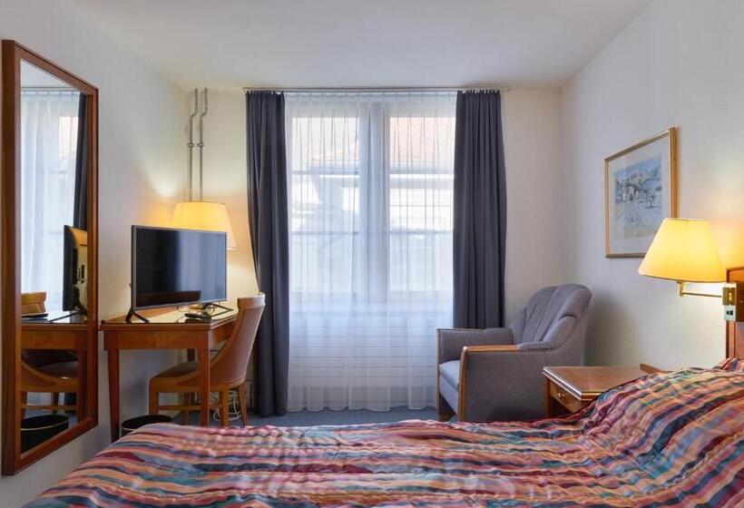 Отель Hine Adon Fribourg