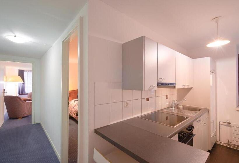 Отель Hine Adon Fribourg