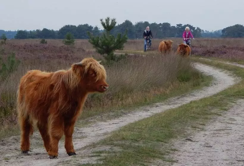 Hotel Kapellerput Heeze Eindhoven