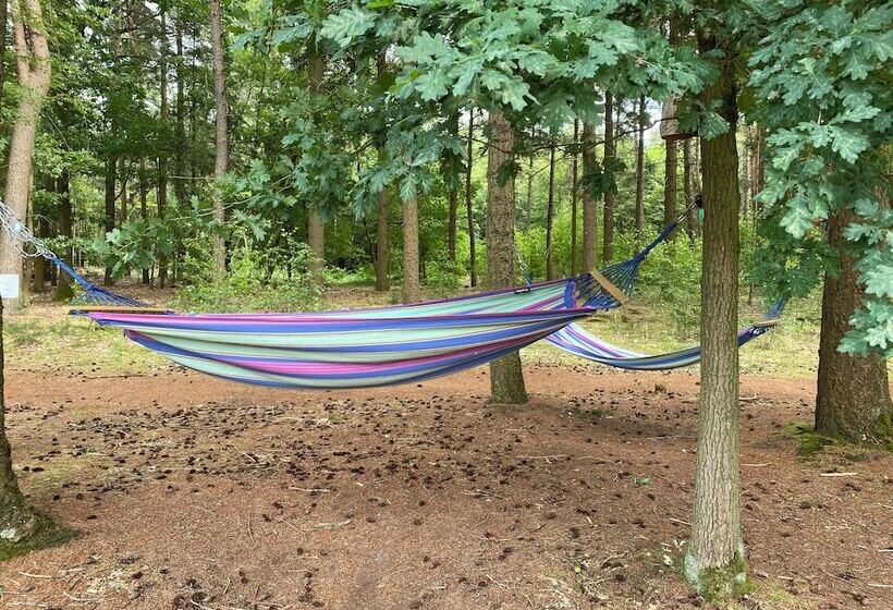 ホテル Kapellerput Heeze Eindhoven