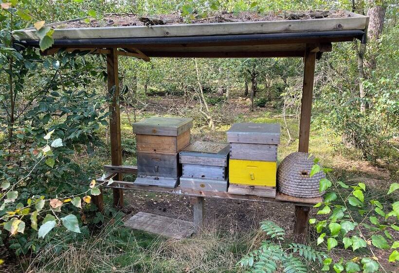 ホテル Kapellerput Heeze Eindhoven