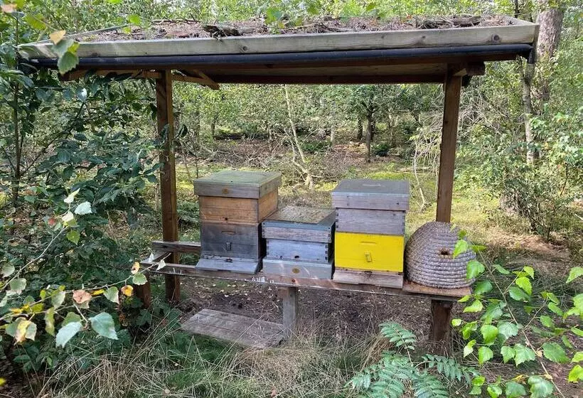 Hotel Kapellerput Heeze Eindhoven