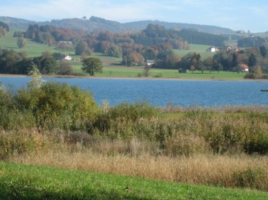 Отель Moarhof Wildenegg