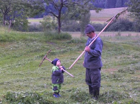 Отель Moarhof Wildenegg