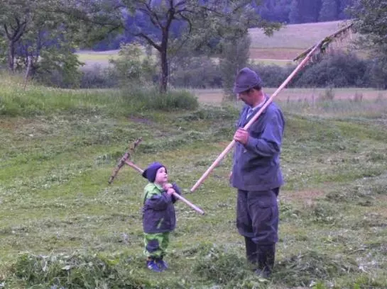 Отель Moarhof Wildenegg