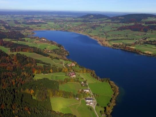 Отель Moarhof Wildenegg