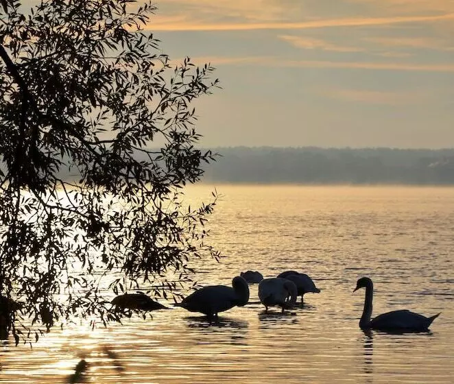 فندق Pałac Zegrzyński