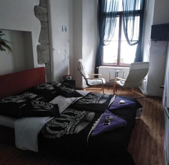 فندق Penzion Willa