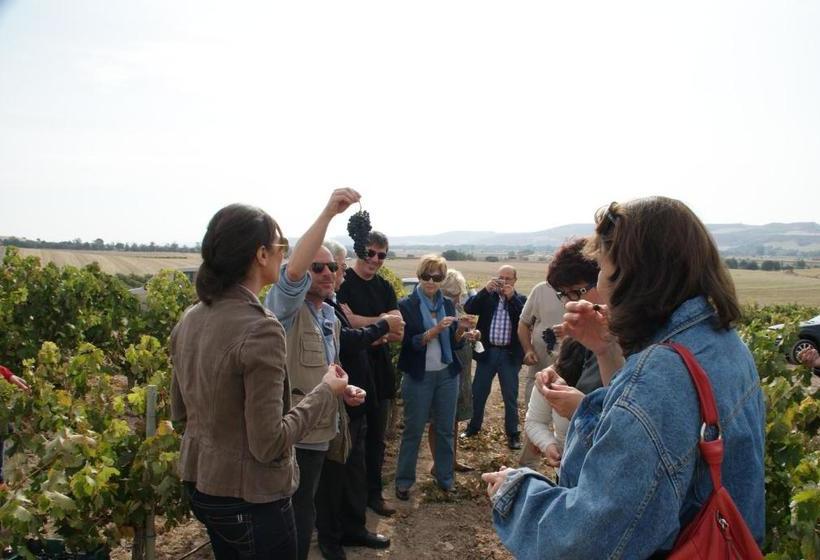 교외 호텔 Rural Emina