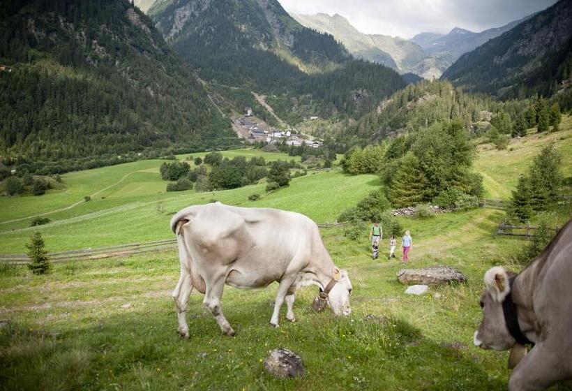 Отель Schölzhorn Superior