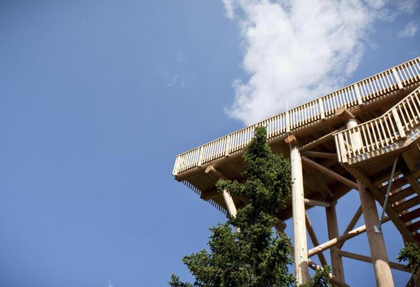 Отель Schölzhorn Superior