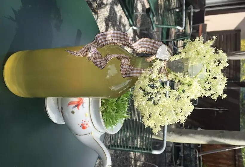 酒店 Sportcenter Funf Dorfer Ag