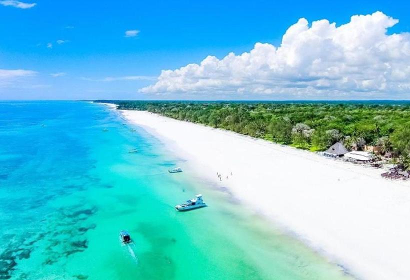 هتل Tropical Garden