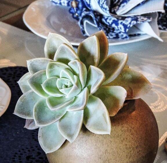 펜션 Amzee Bokmakierie Guest House