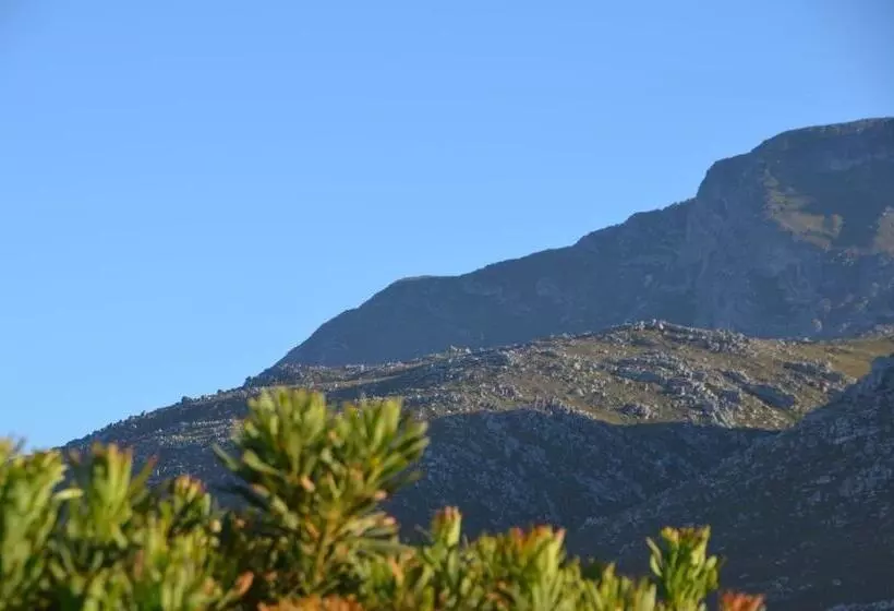 بنسيون Kapensis Guesthouse  Ltd