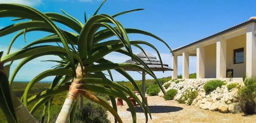 بنسيون Kapensis Guesthouse  Ltd