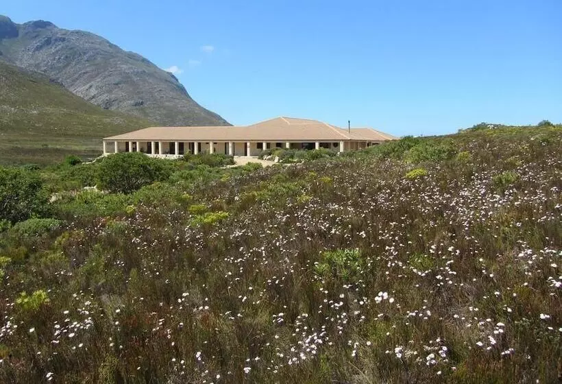 بنسيون Kapensis Guesthouse  Ltd