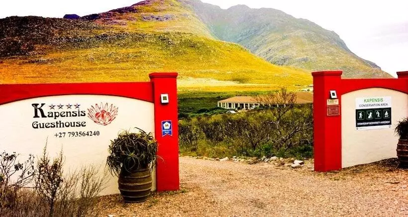 بنسيون Kapensis Guesthouse  Ltd