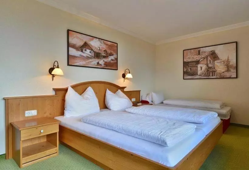 Пансион Gasthof Und Hotel Rieder Gmbh