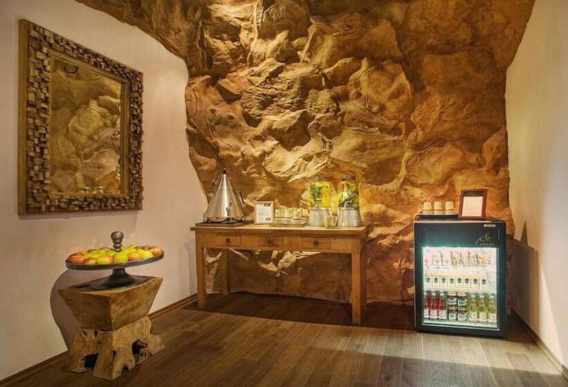 Wellness & Spa Hotel Augustiniánský Dům