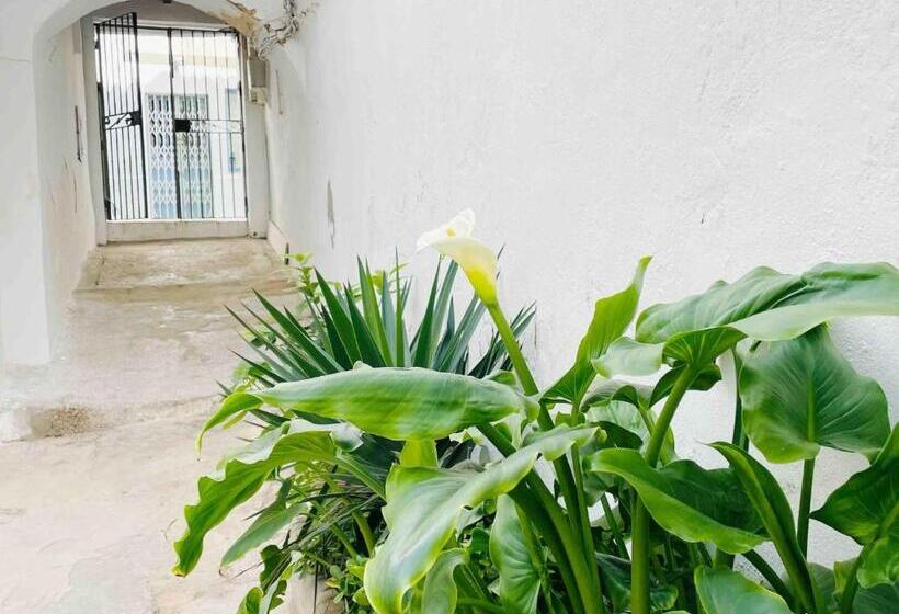 Apartamento Alazul Campillo