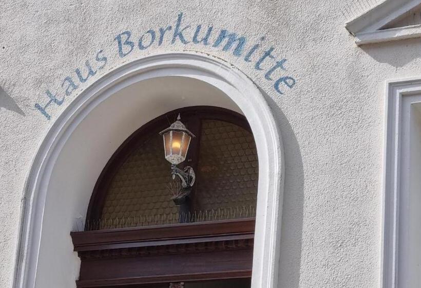 Haus Borkumitte Appartement Mellum