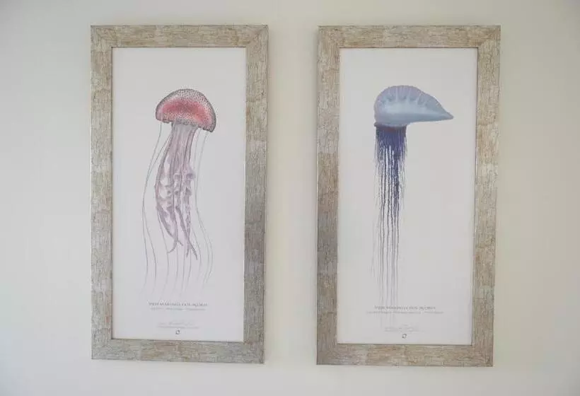 Nia Azorean Apartments