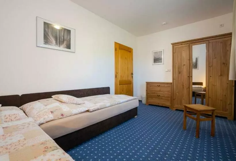 ペンション Penzion U černého Kohoutka