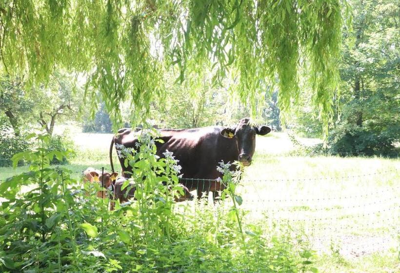 Ferienhaus Heinrichs