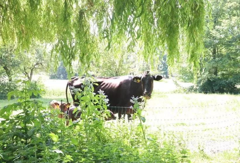 Ferienhaus Heinrichs