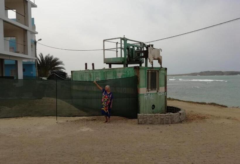 Leben Am Atlantik Hautnah Spüren