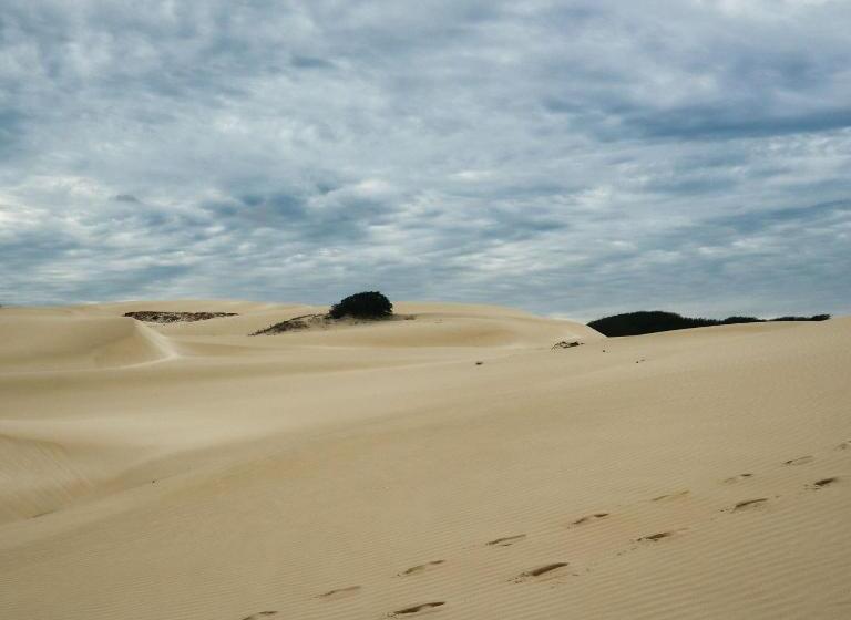 Leben Am Atlantik Hautnah Spüren