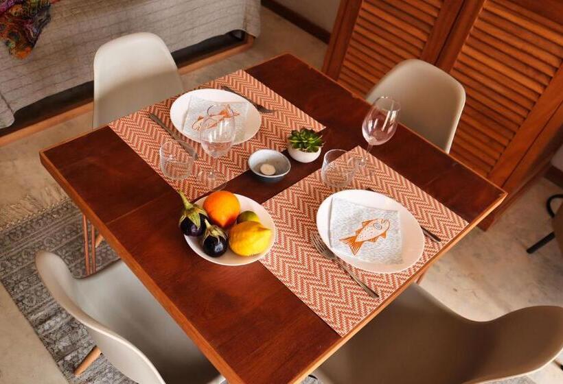 Leben Am Atlantik Hautnah Spüren