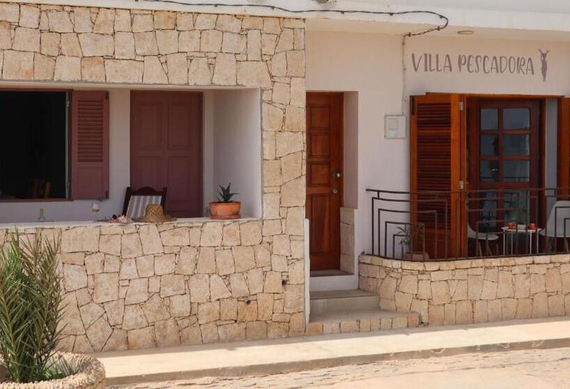 Leben Am Atlantik Hautnah Spüren