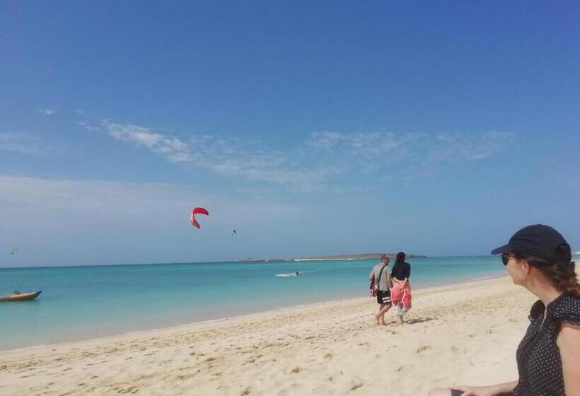 Leben Am Atlantik Hautnah Spüren