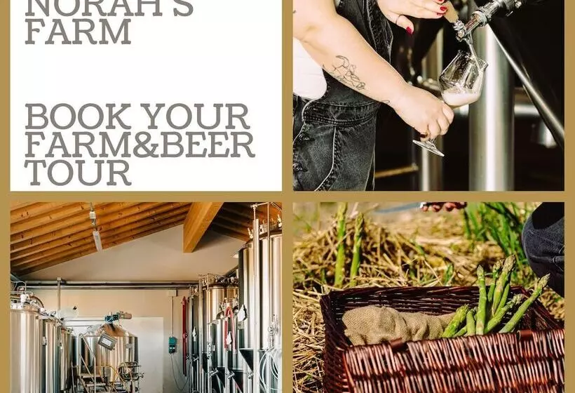 ホテル Asolo Norah S Hill Agri Rooms