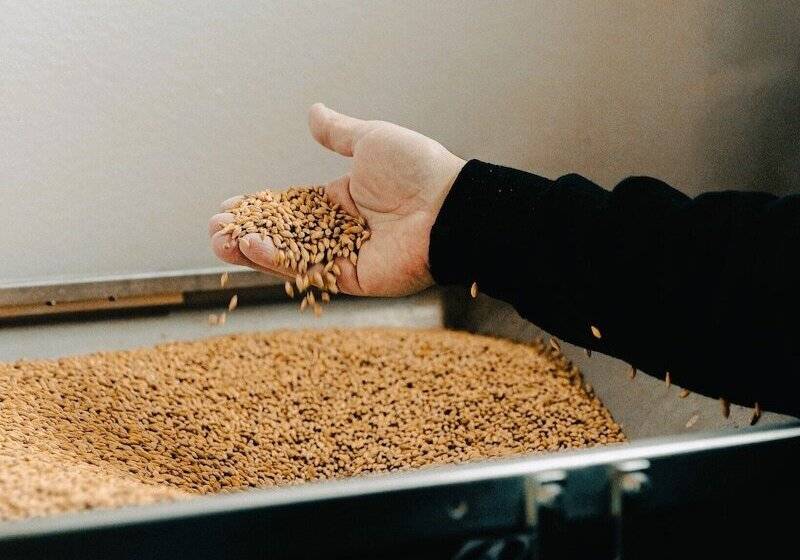 ホテル Asolo Norah S Hill Agri Rooms