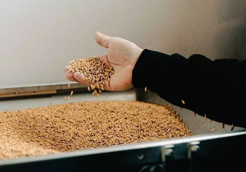 ホテル Asolo Norah S Hill Agri Rooms