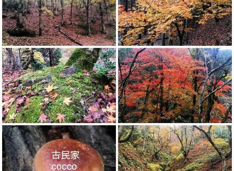 Pensionat くつき鯖街道 古民家cocco小入谷 一日一組貸切