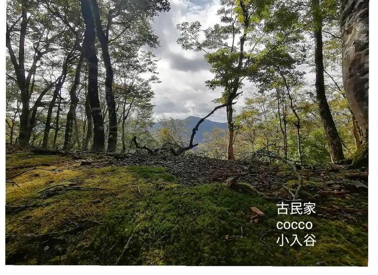 Pensionat くつき鯖街道 古民家cocco小入谷 一日一組貸切